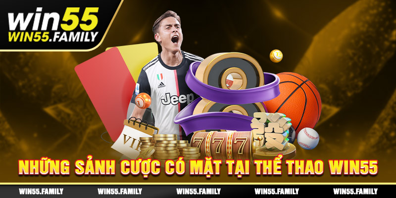 4 sảnh cược thể thao hàng đầu thế giới có mặt tại Win55