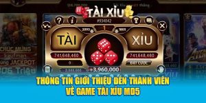 Thông tin giới thiệu đến thành viên về game Tài Xỉu MD5